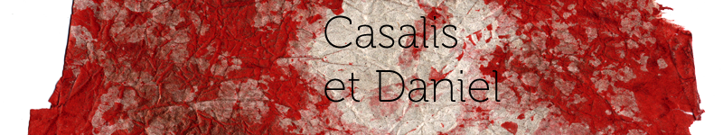 site de Casalis et Daniel artistes